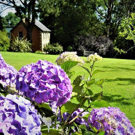 Ffynnon Fendigaid Bed And Breakfast Aberporth Buitenkant foto