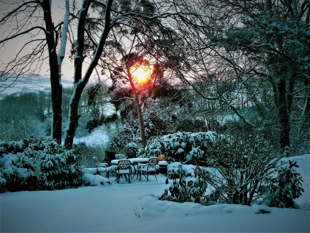 Ffynnon Fendigaid Bed And Breakfast Aberporth Buitenkant foto