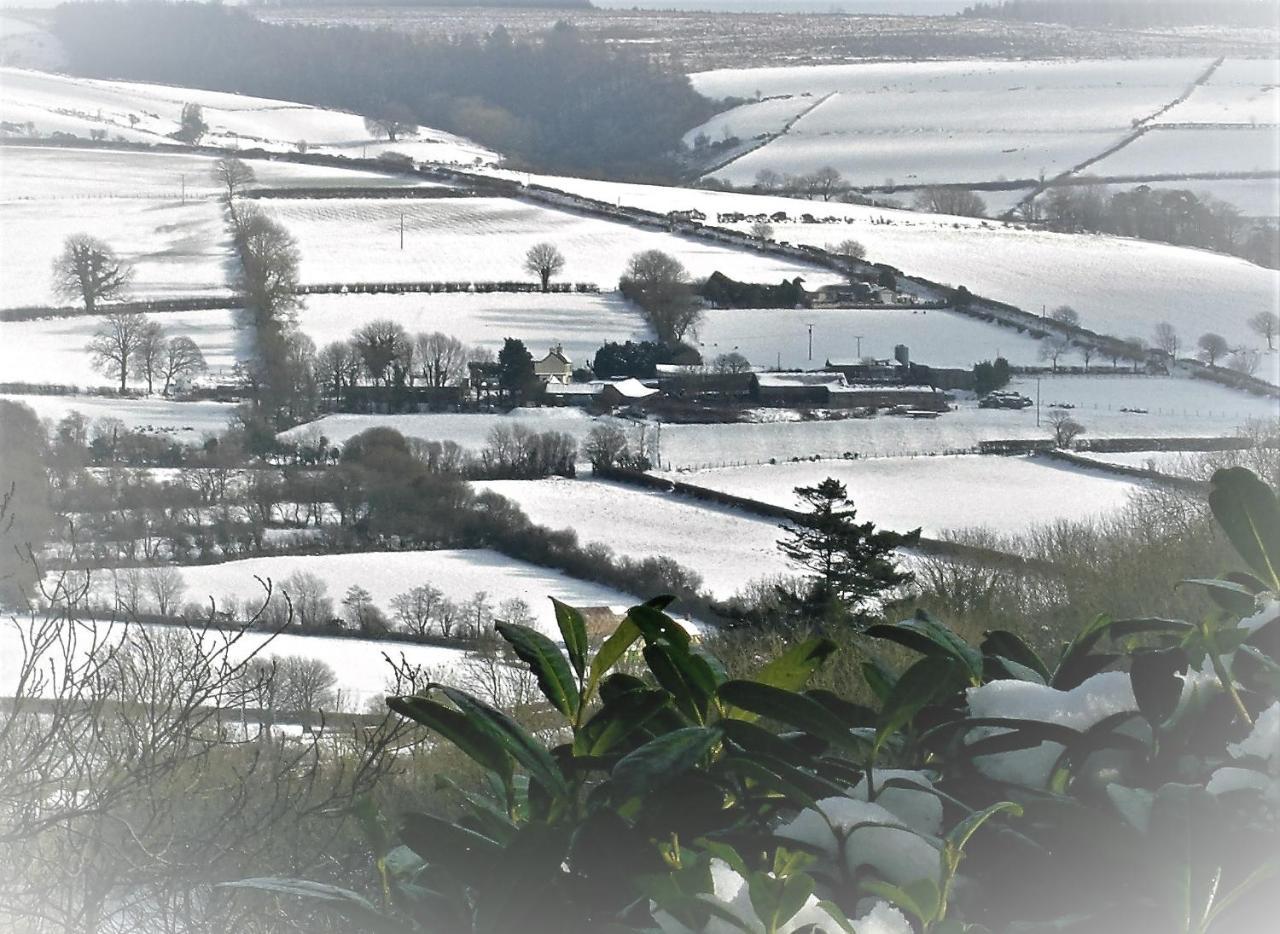 Ffynnon Fendigaid Bed And Breakfast Aberporth Buitenkant foto