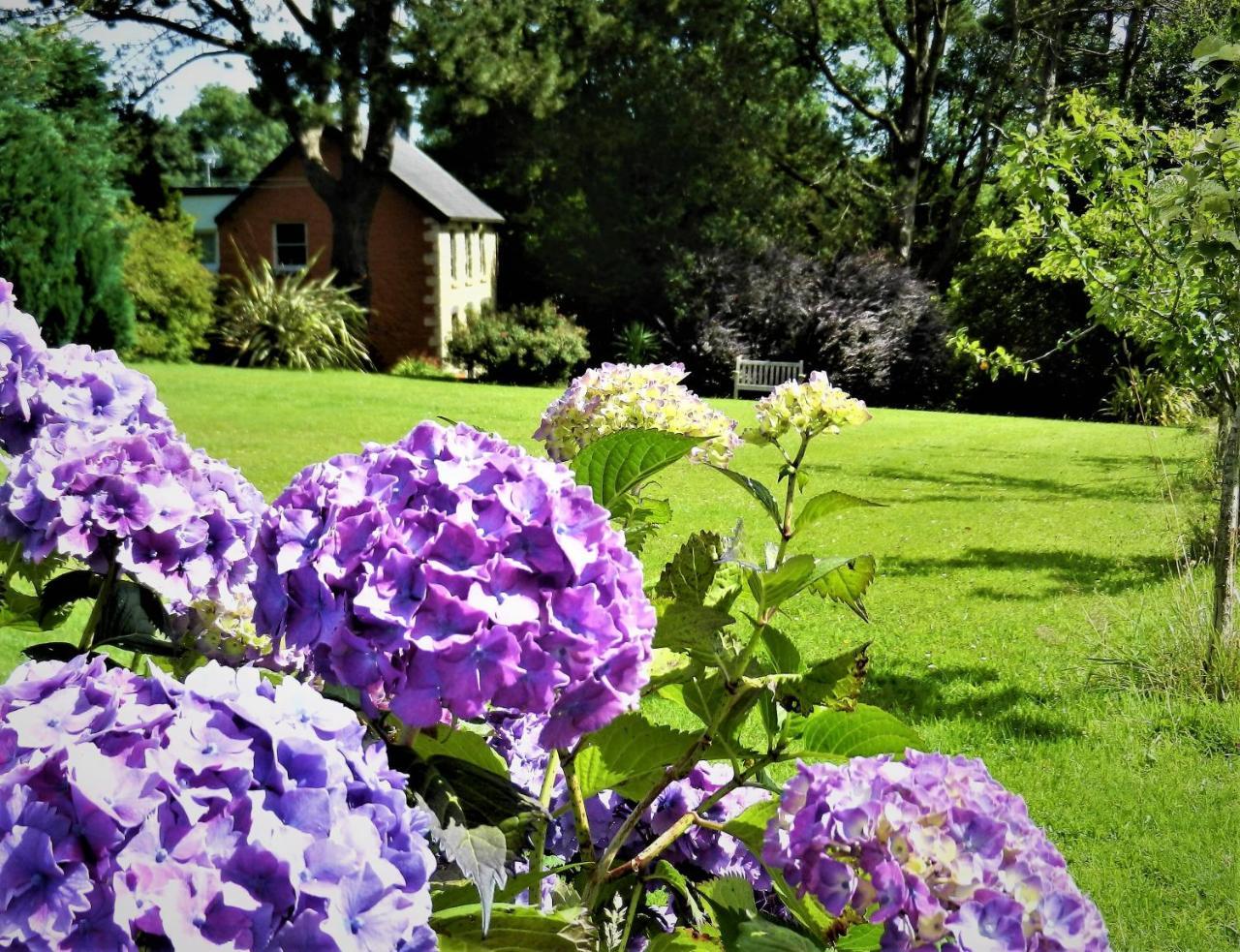 Ffynnon Fendigaid Bed And Breakfast Aberporth Buitenkant foto